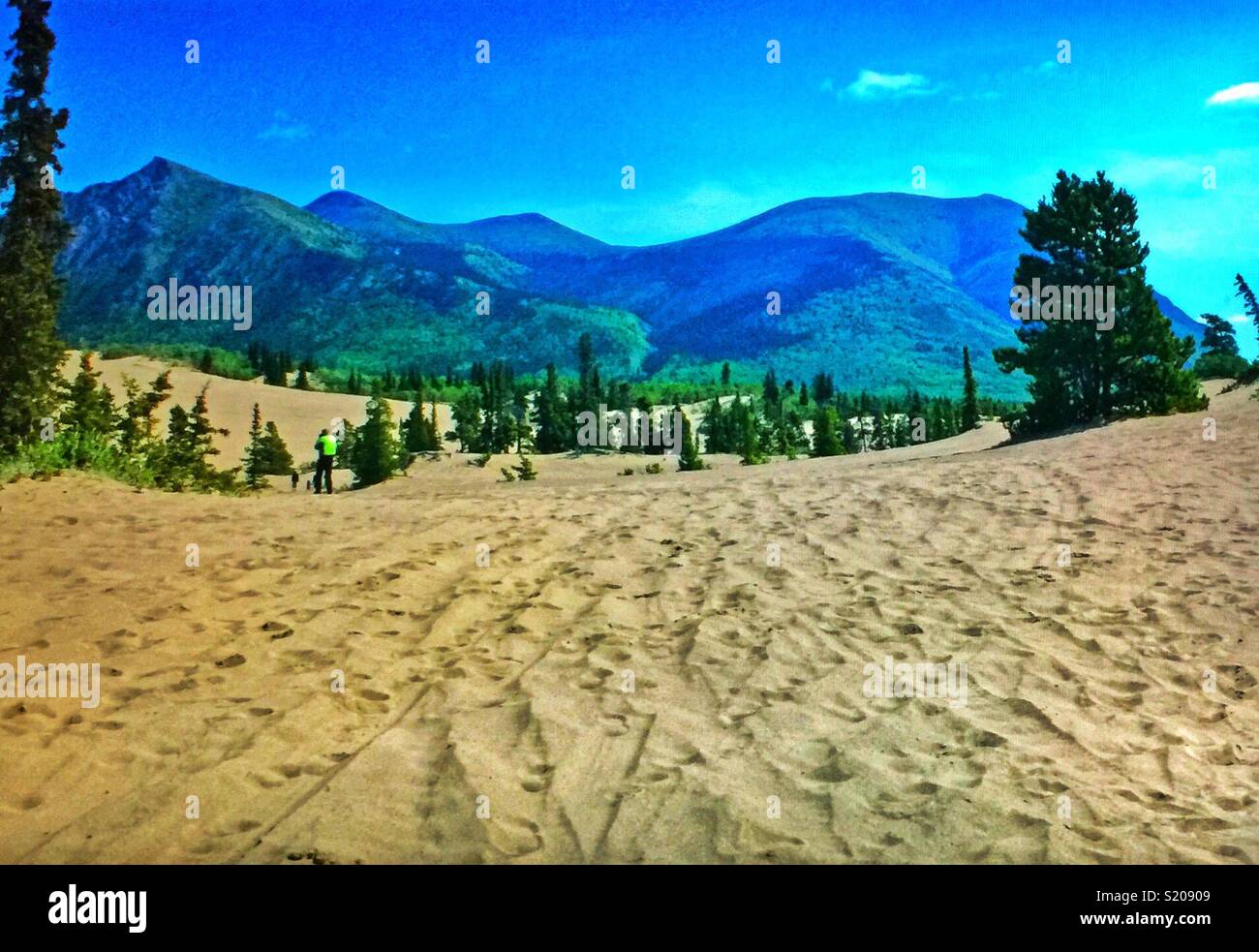 Carcross desert, Yukon, Canada Stock Photo Alamy