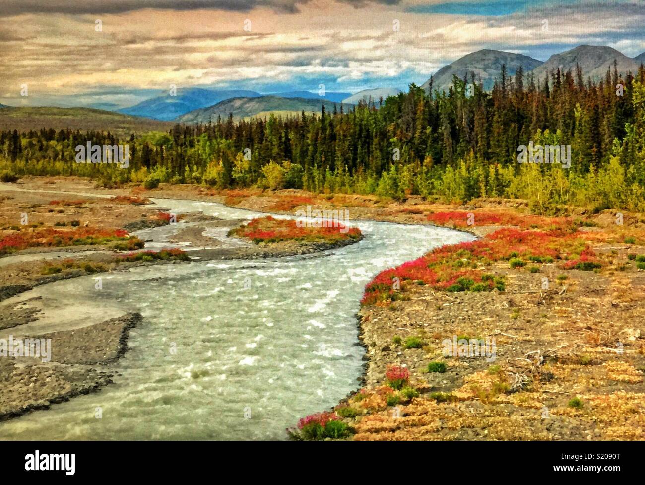 Quill Creek, Yukon, Canada. Stock Photo