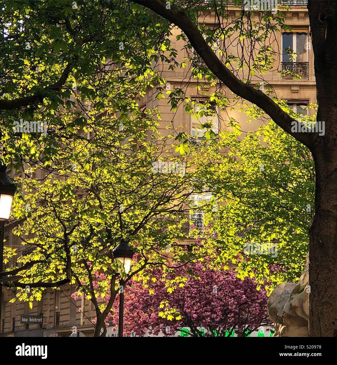 Paris in springtime - Smartphone Captured Stock Image
