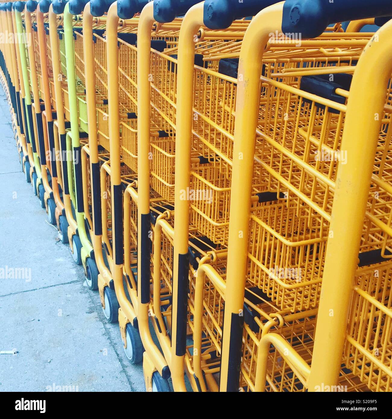 Yellow shopping carts by K.R Stock Photo Alamy