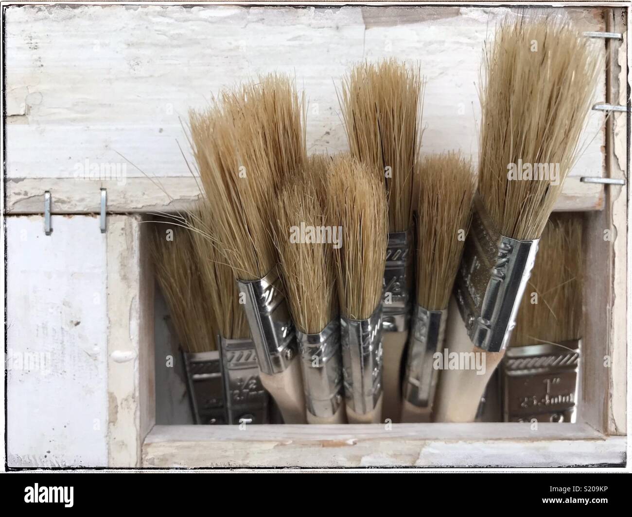 Glue brushes hires stock photography and images Alamy