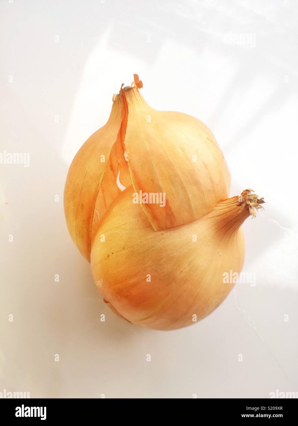 Peeling onion hi-res stock photography and images - Alamy