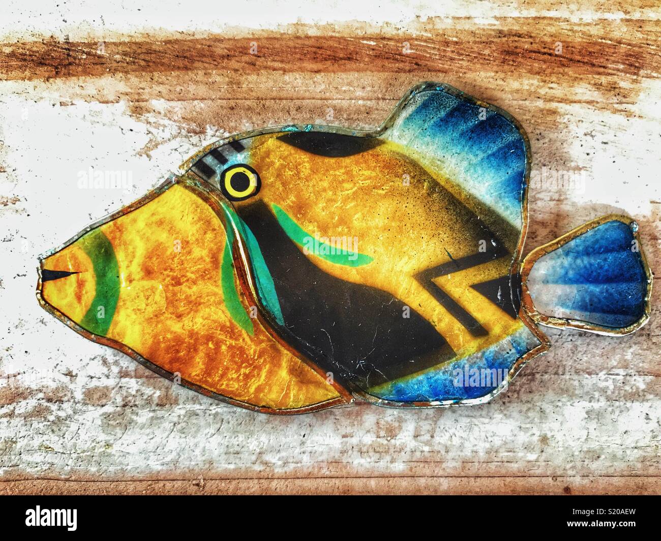A colourful tropical fish fridge magnet, made from a painted flat seashell Stock Photo