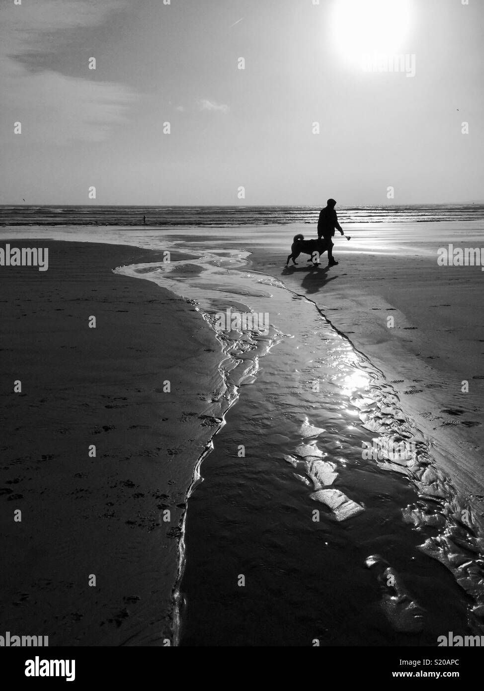 Walking the Dog on theBeach Stock Photo