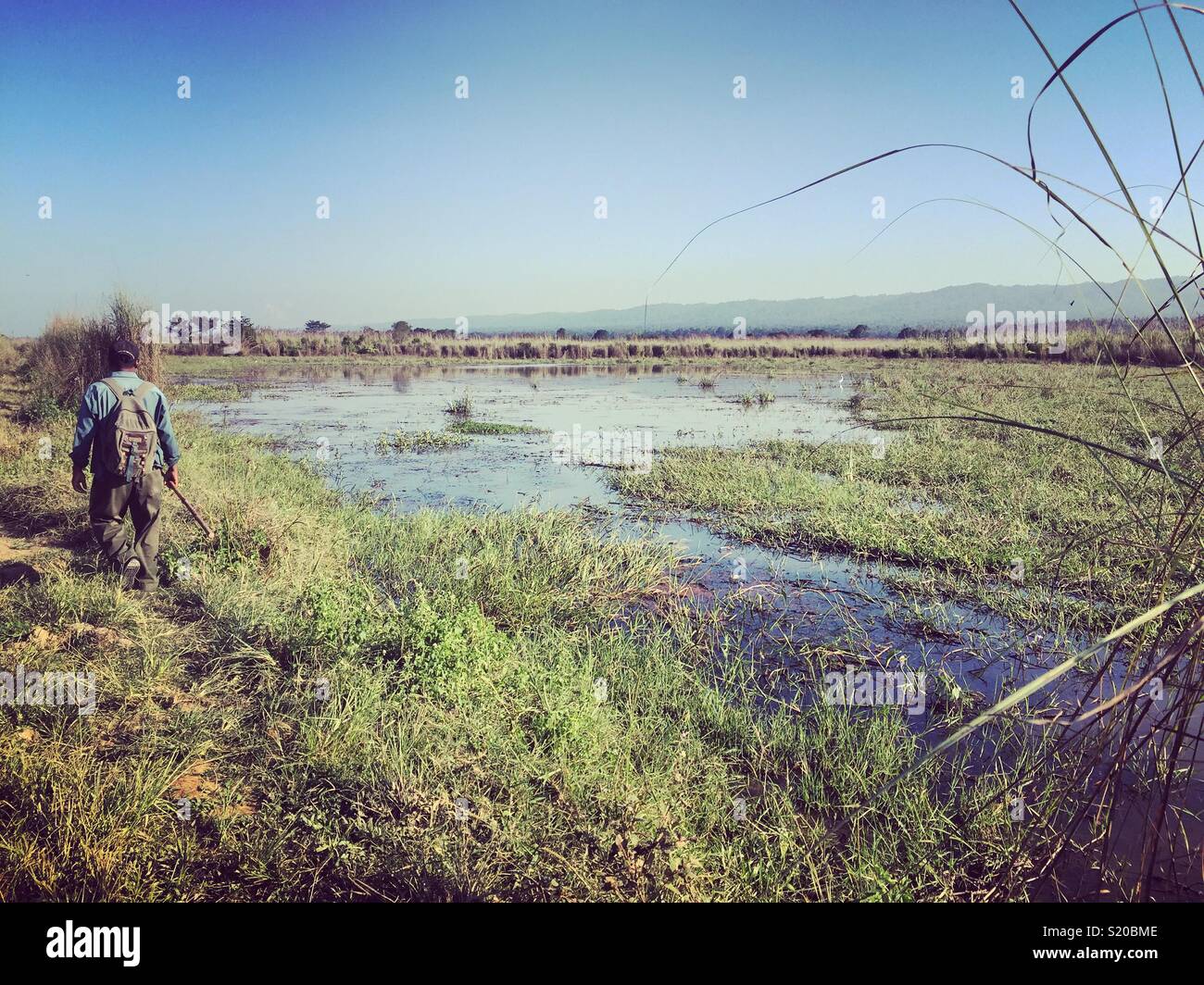 Chitwan national park jungle, Nepal - Smartphone Captured Stock Image