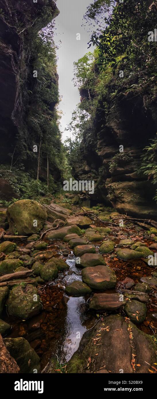 Greaves Creek, Grand Canyon Track, Blackheath, Blue Mountains National Park, NSW, Australia - Smartphone Captured Stock Image