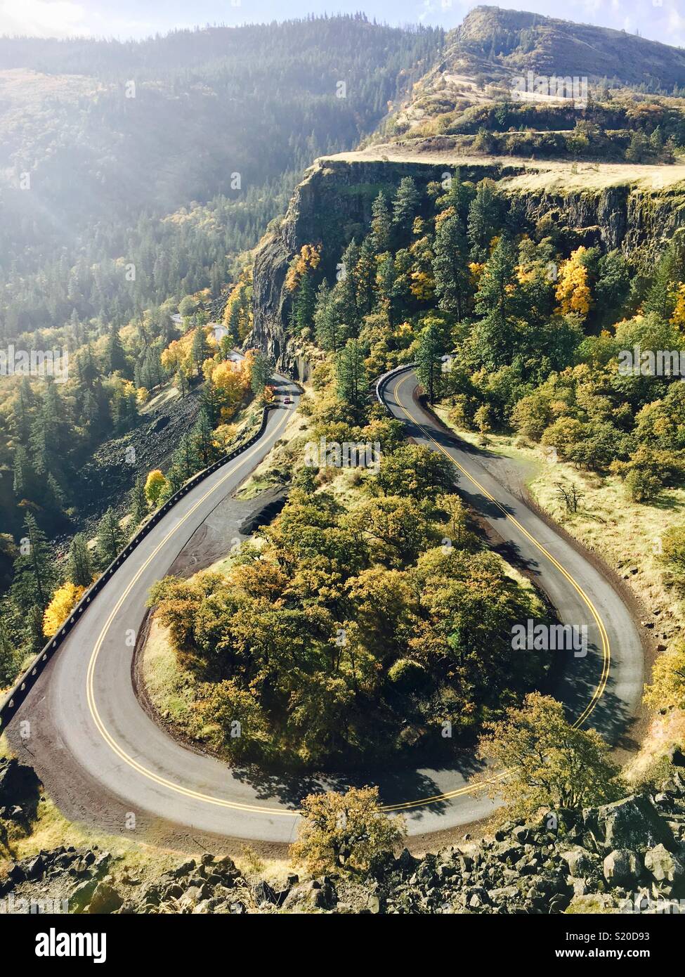 Rowena crest hires stock photography and images Alamy