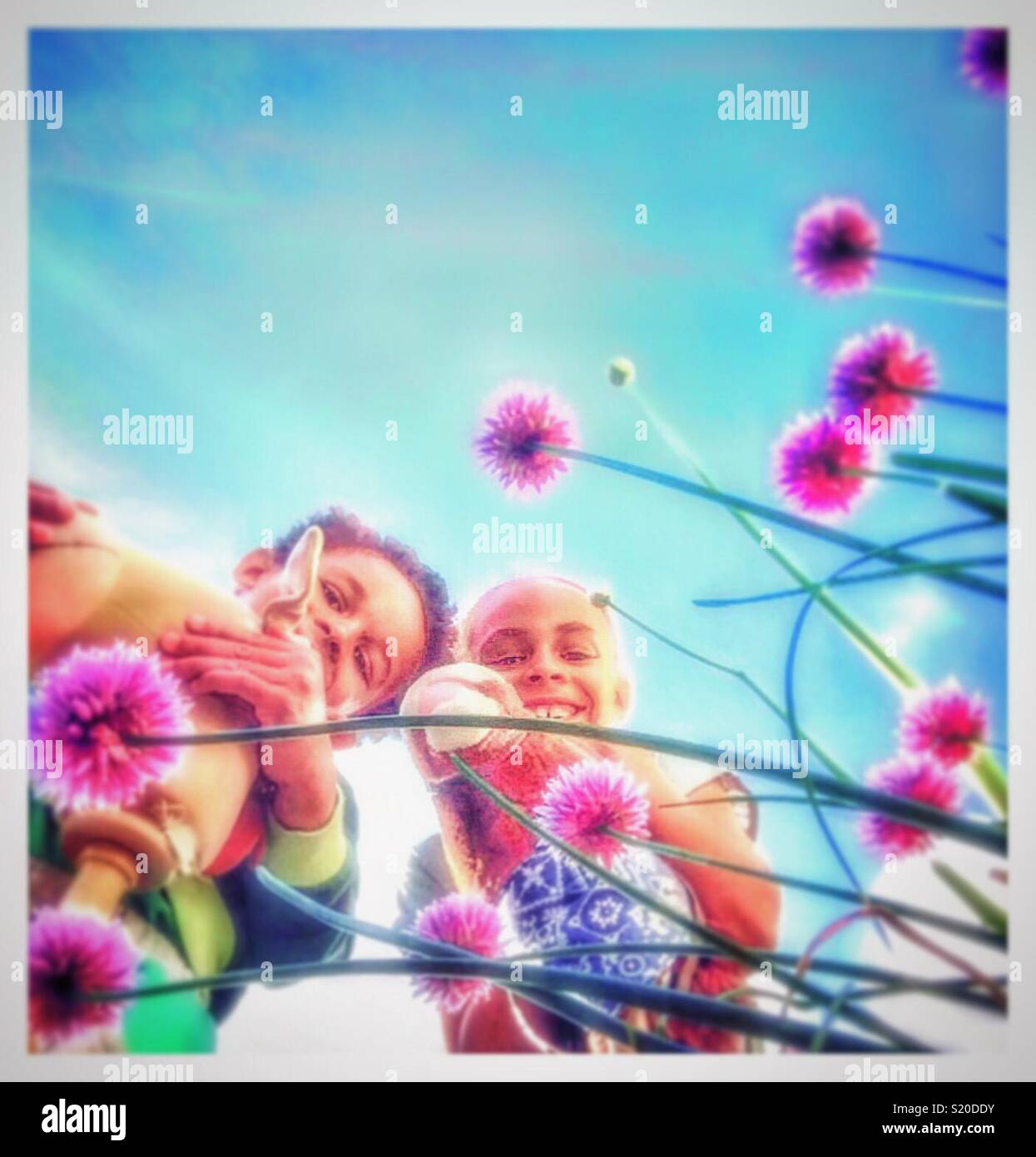 Kids playing on hobby horses amongst Chive flowers. - Smartphone Captured Stock Image