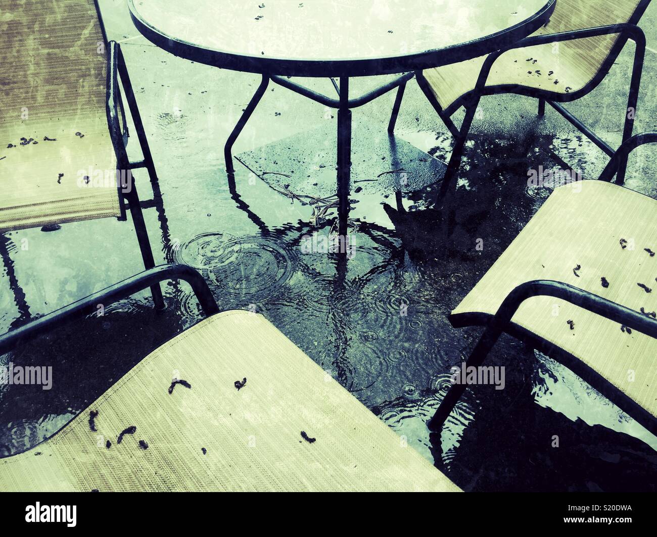 Summer will never come - Smartphone Captured Stock Image