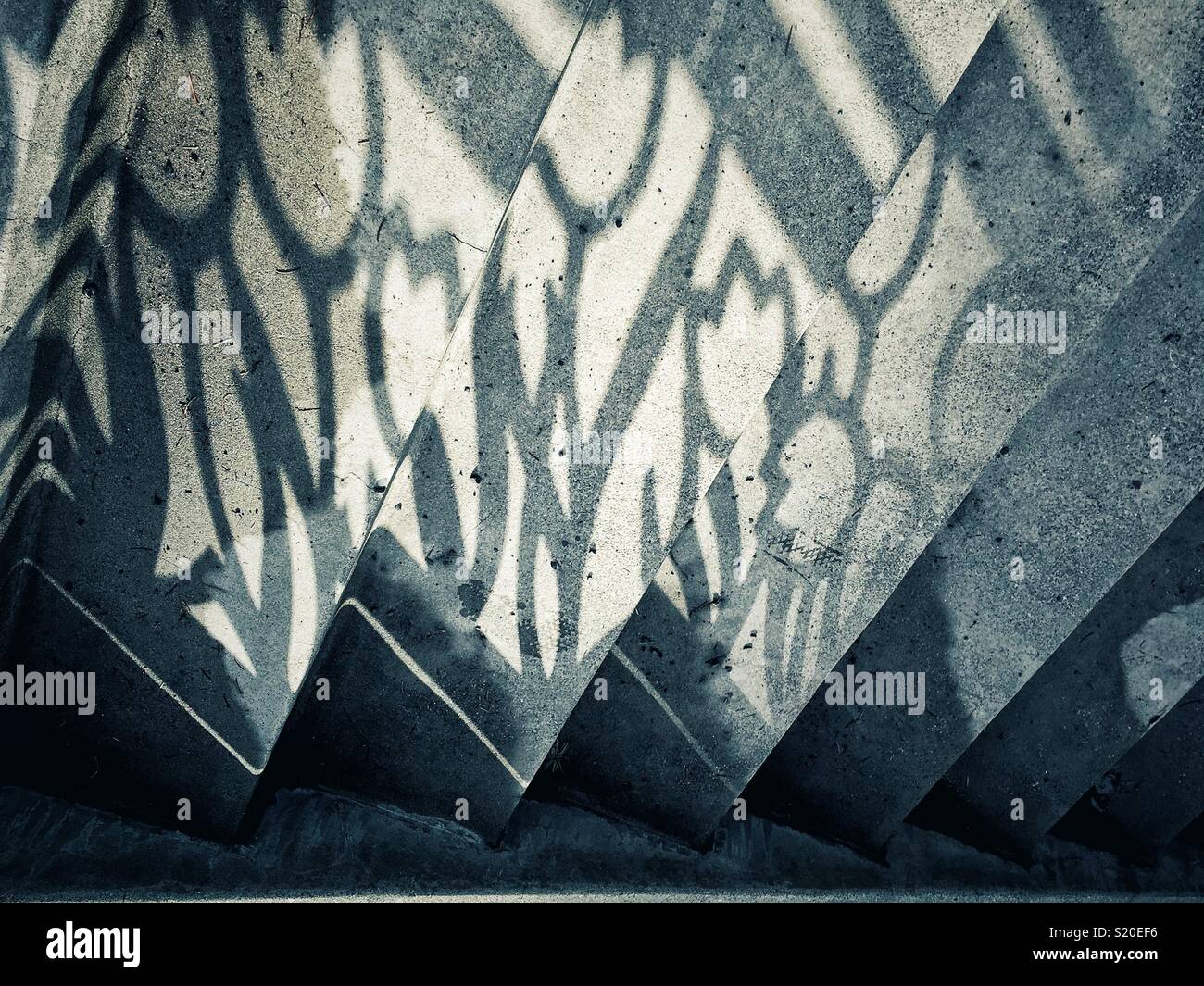Tulip shaped railing casts shadows on the stairs of Duncan garden in Manito Park in Spokane WA Stock Photo