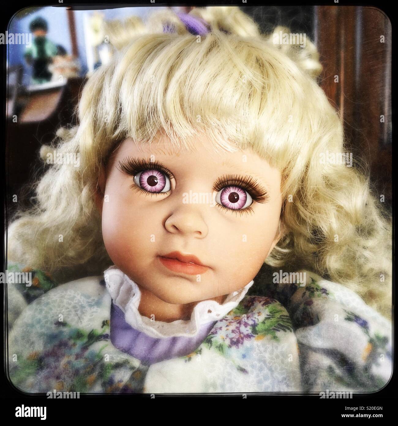 Dolly With Purple Eyes Stock Photo Alamy