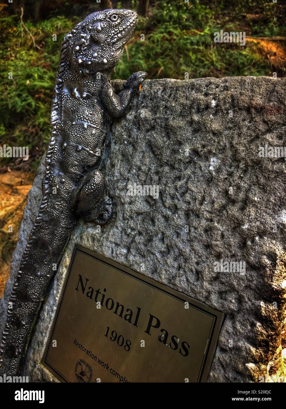 The marker at the start of the National Pass walking track near Wentworth Falls, Blue Mountains National Park, NSW, Australia - Smartphone Captured Stock Image