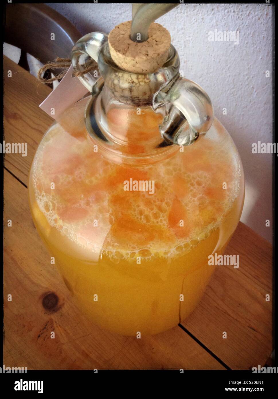 Making homemade Mead wine, Catalonia, Spain. - Smartphone Captured Stock Image