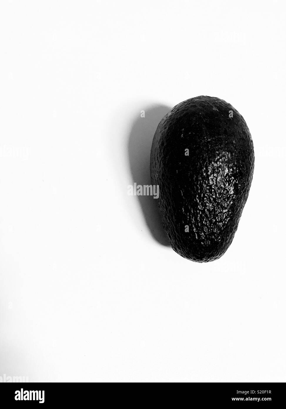 An avocado on a white background. Stock Photo