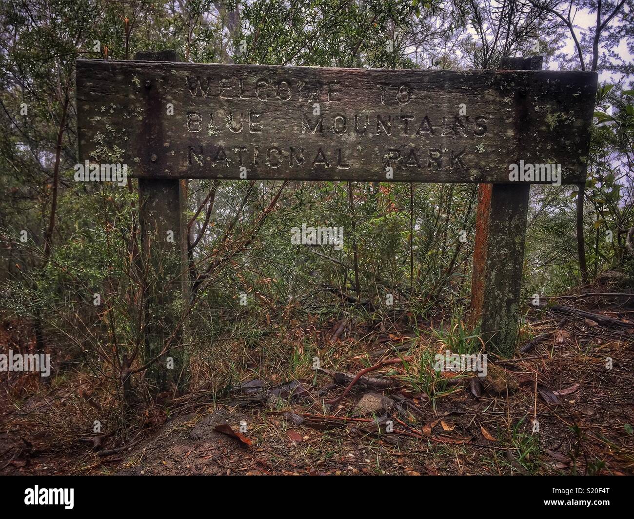 Weathered wooden sign, Prince Henry Cliff Walk, Leura, Blue Mountains National Park, NSW, Australia - Smartphone Captured Stock Image