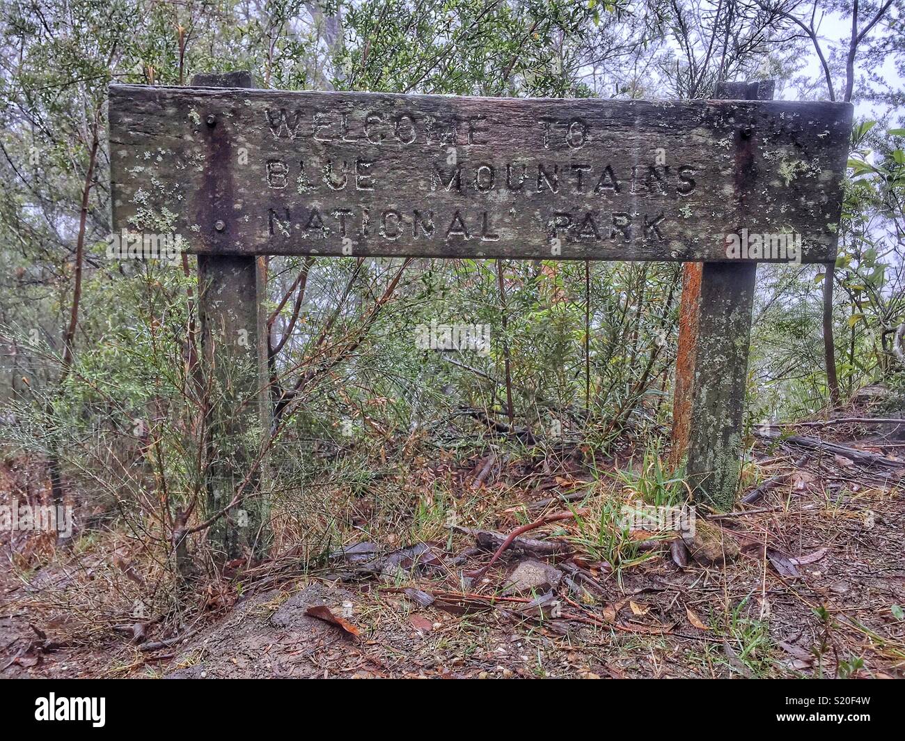 Weathered wooden sign, Prince Henry Cliff Walk, Leura, Blue Mountains National Park, NSW, Australia - Smartphone Captured Stock Image
