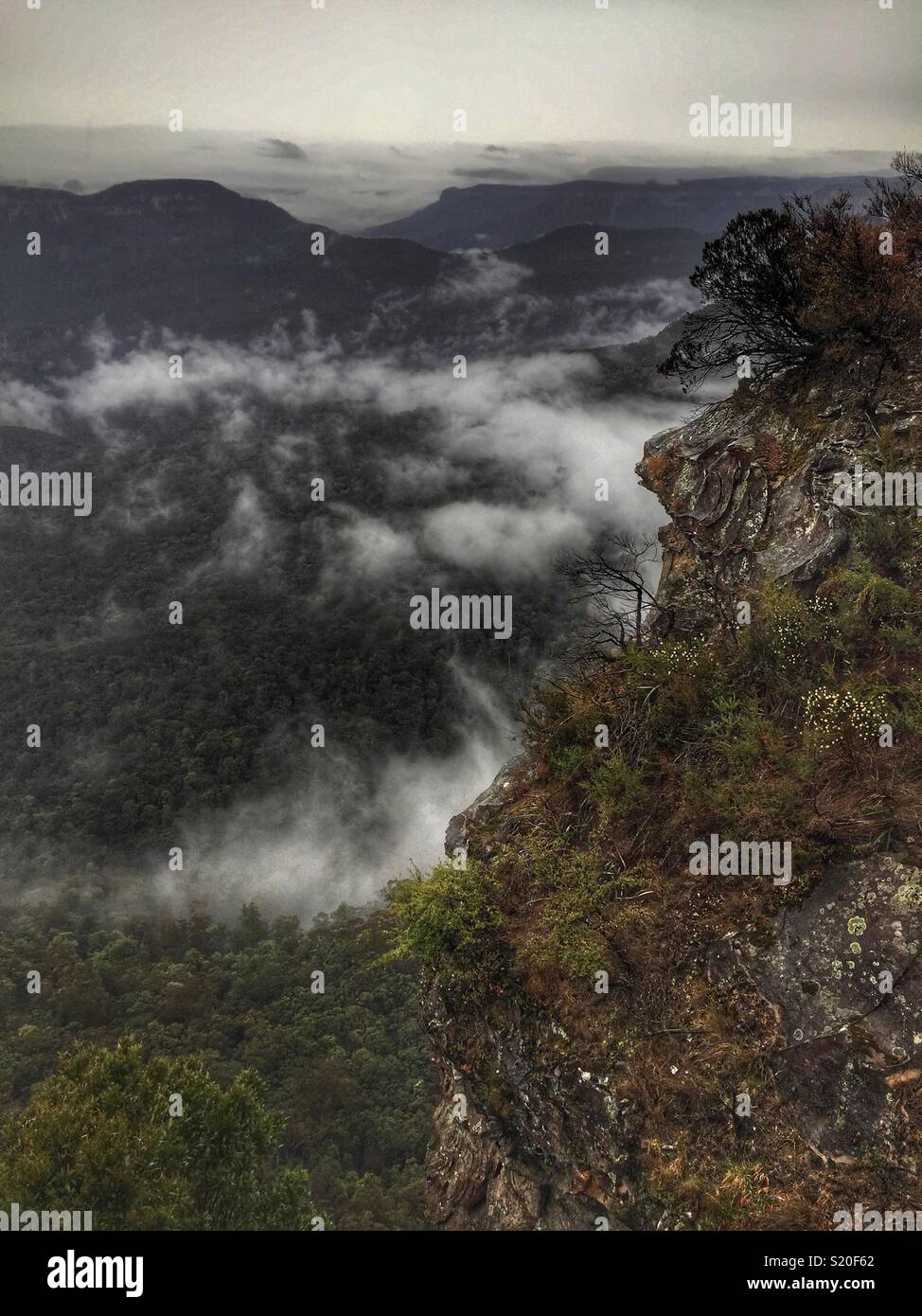 The Jamison Valley and Mount Solitary from Elysian Rock Lookout, Leura, Blue Mountains National Park, NSW, Australia Stock Photo