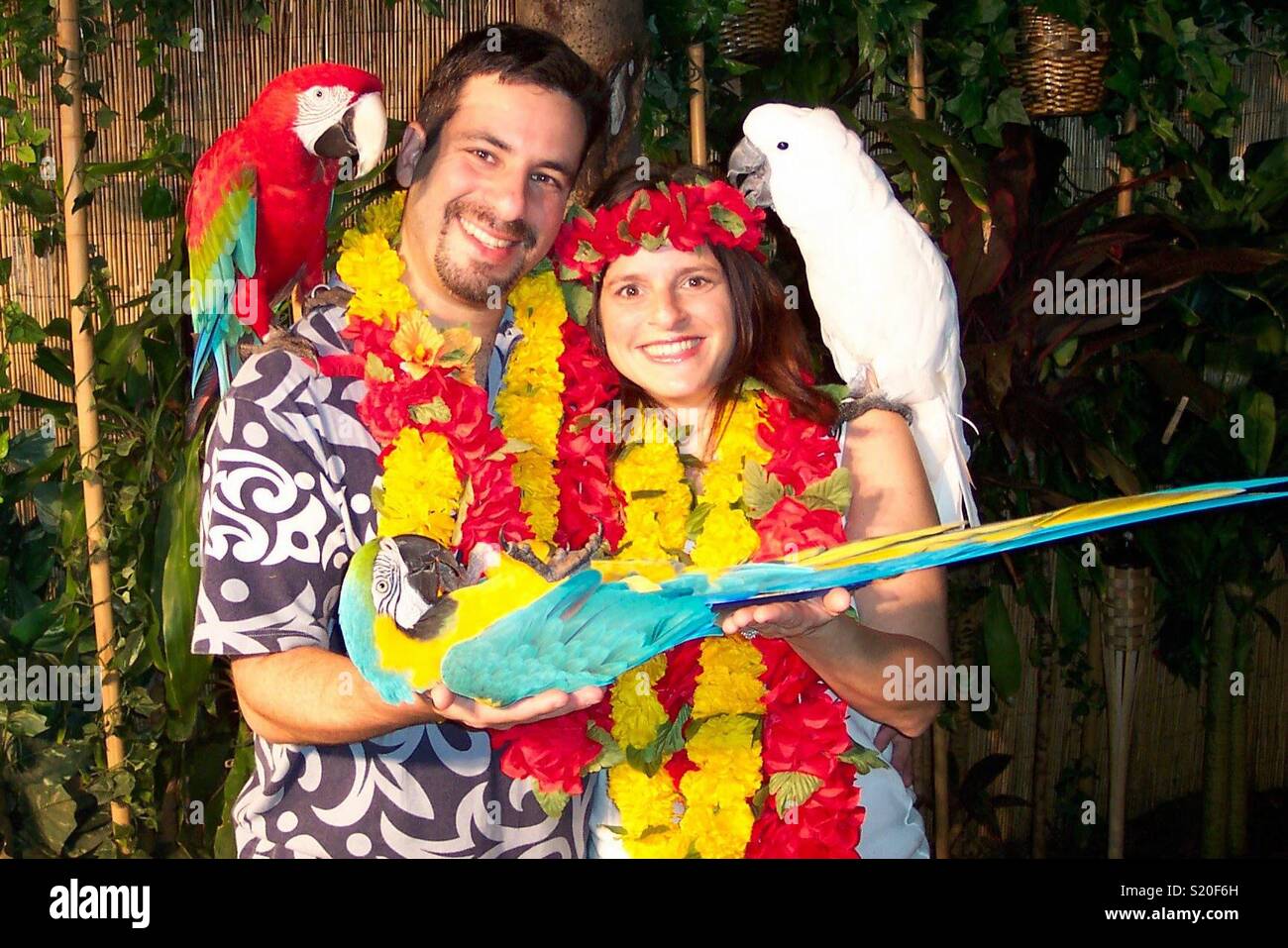 Mccaw hires stock photography and images Alamy