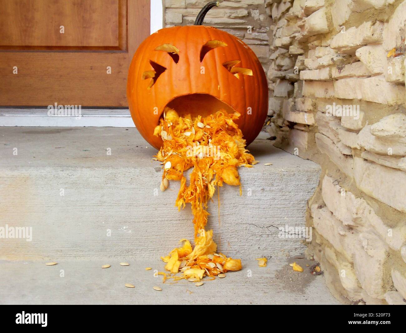 Pumpkin throw up Stock Photo - Alamy