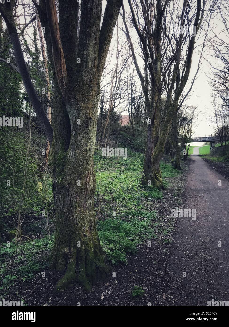Calm way - Smartphone Captured Stock Image
