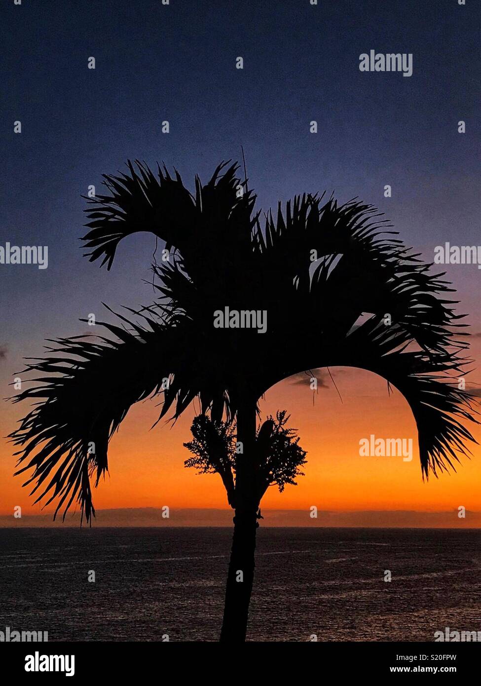 Sunset silhouette - Smartphone Captured Stock Image