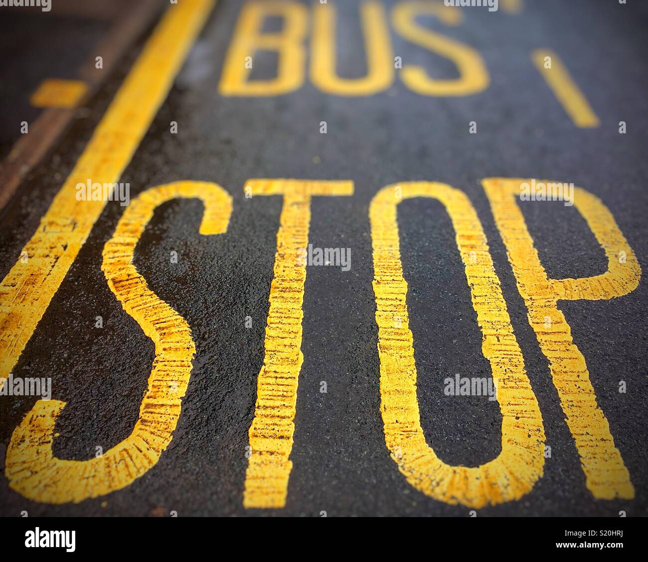 Road markings at bus stop hires stock photography and images Alamy
