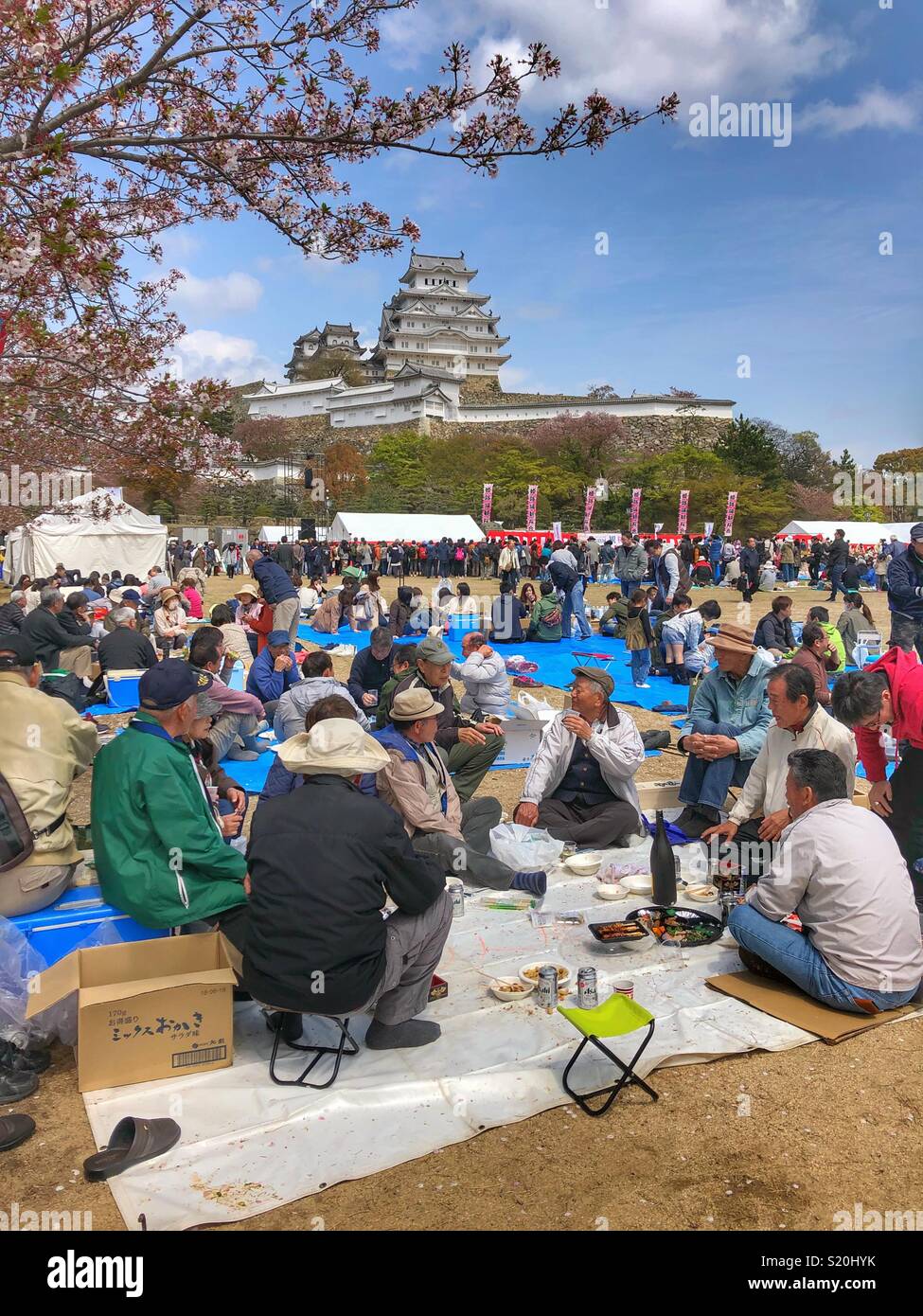 People gathered in front of Himeji Castle, Japan for the annual Cherry Blossom Festival. - Smartphone Captured Stock Image