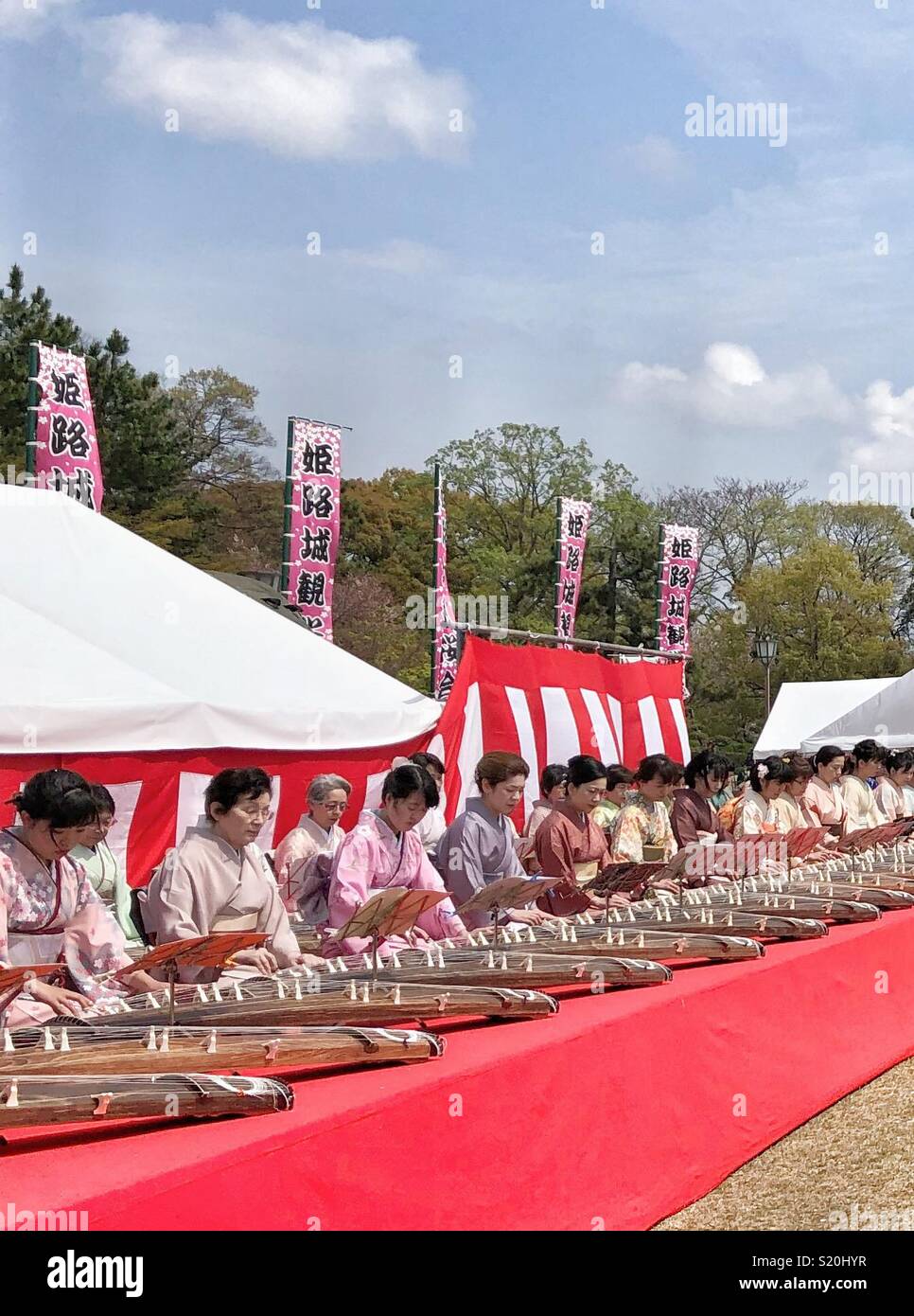 A row of female Japanese musicians play at a Cherry Blossom festival in Himeji, Japan. - Smartphone Captured Stock Image