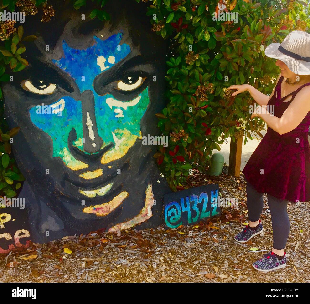 Prince fan enjoying the Prince afro bush in Citrus Heights, California, USA. Stock Photo
