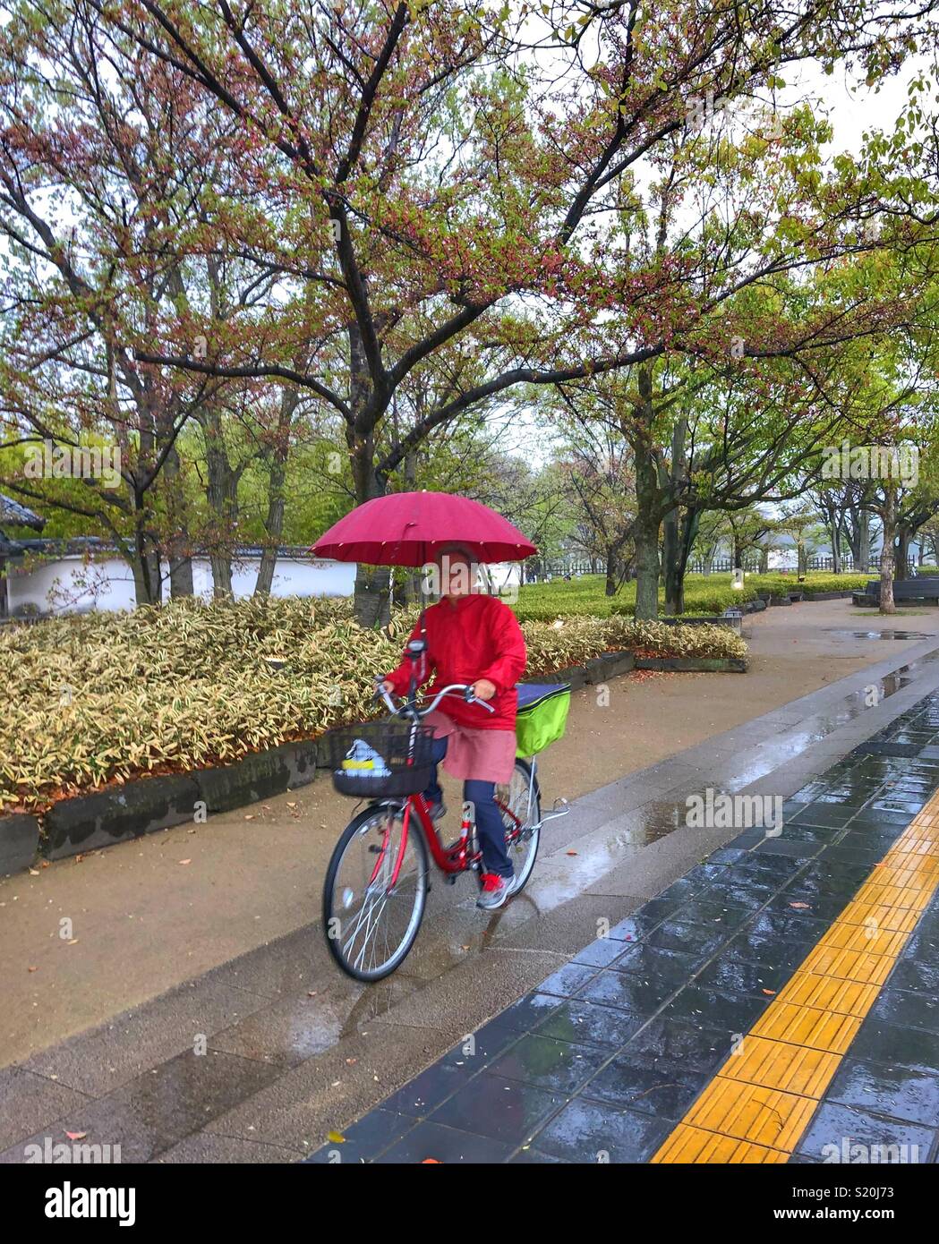 Woman riding bicycle holding umbrella hires stock photography and