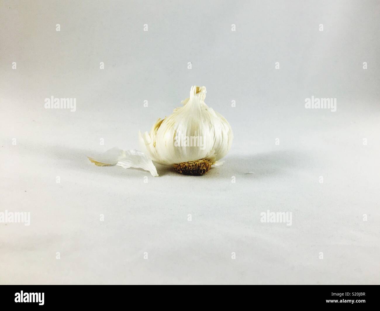 Garlic bulb with peel on white Stock Photo Alamy