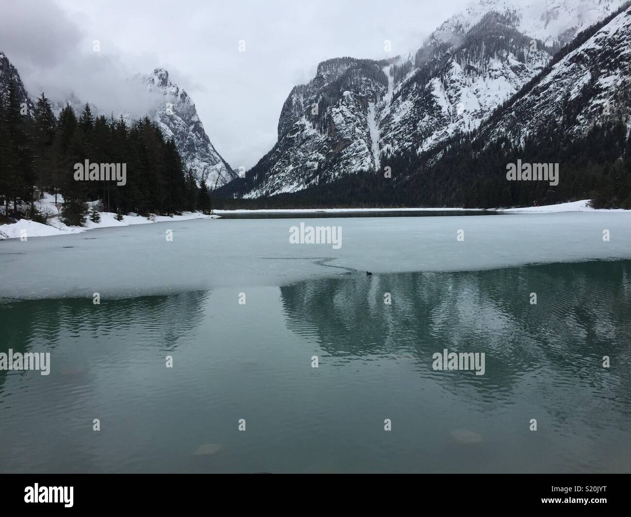 Spring in Dobbiaco, Italy. - Smartphone Captured Stock Image