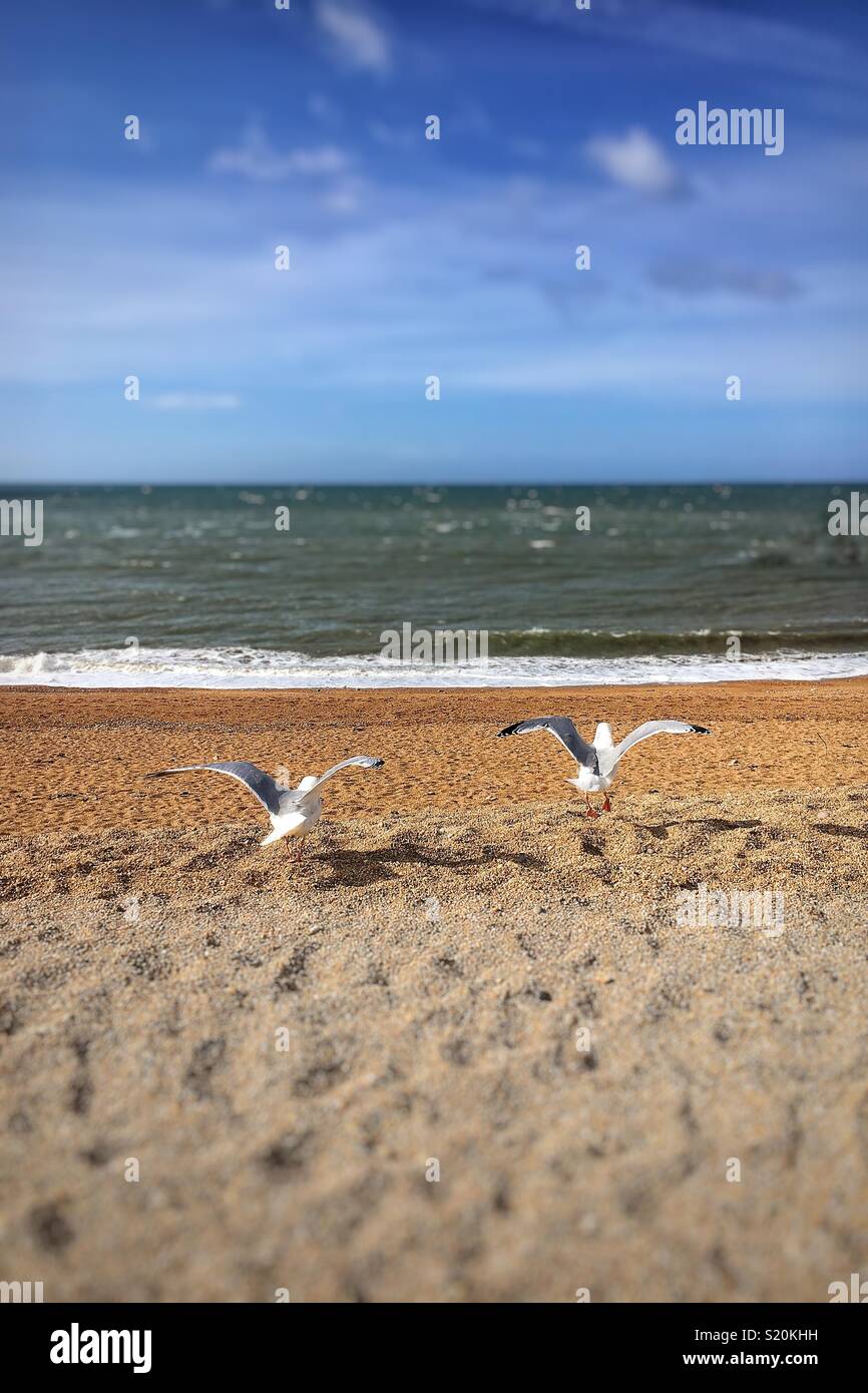 Take off - Smartphone Captured Stock Image