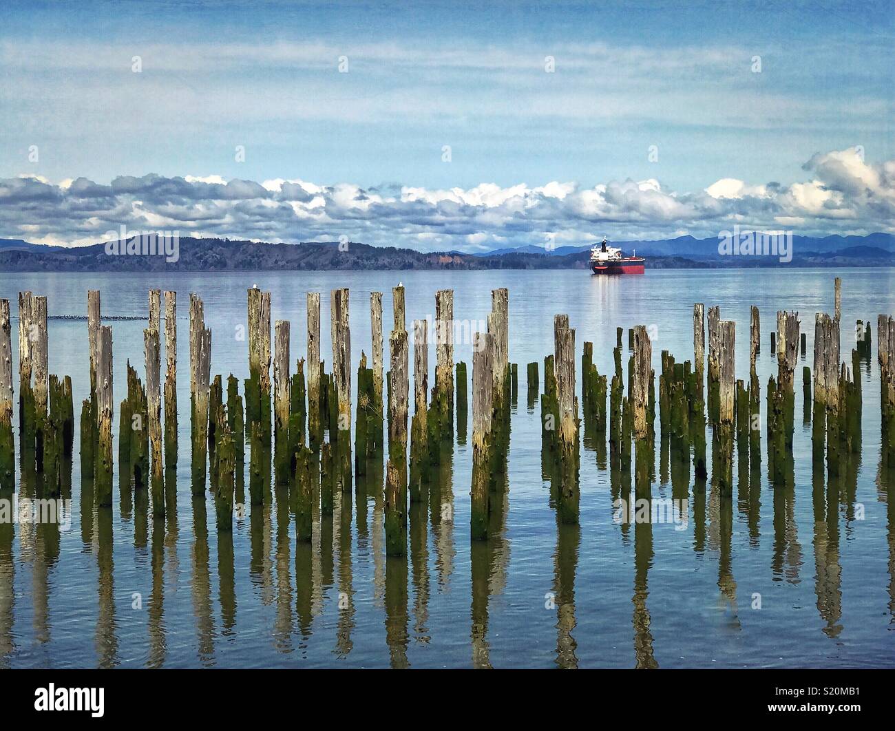 Old pier pilings and large ship in the Columbia River at Astoria, Oregon, USA. - Smartphone Captured Stock Image