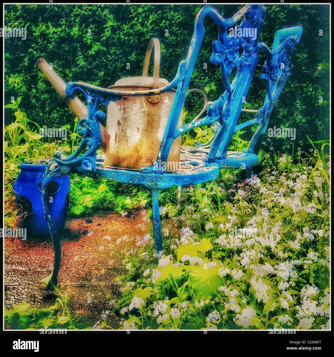 Garden bench and watering can. - Smartphone Captured Stock Image