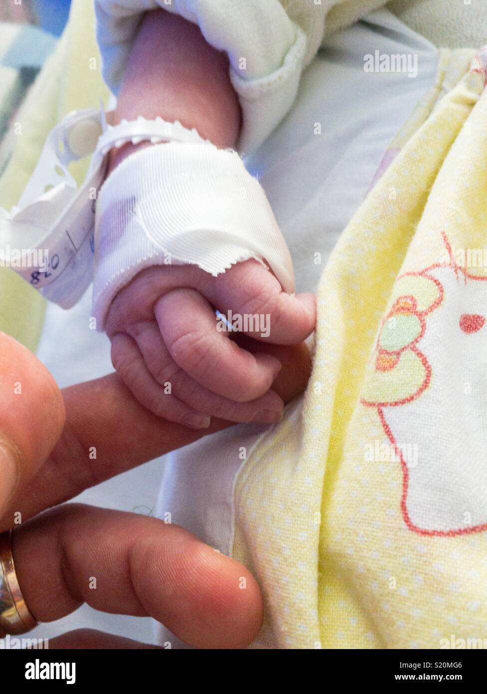 Newborn baby holding fathers hand Stock Photo