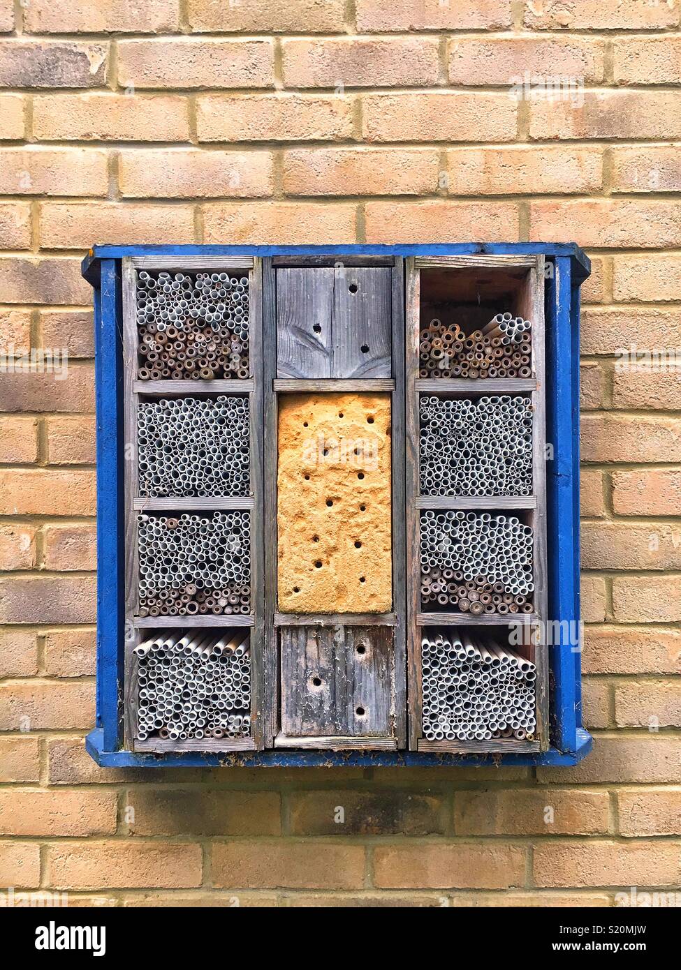 Bee box - Smartphone Captured Stock Image