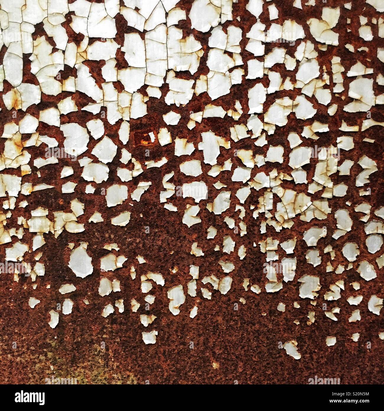 Peeling paint on a rusty metal door, Luk Keng, New Territories, Hong Kong - Smartphone Captured Stock Image