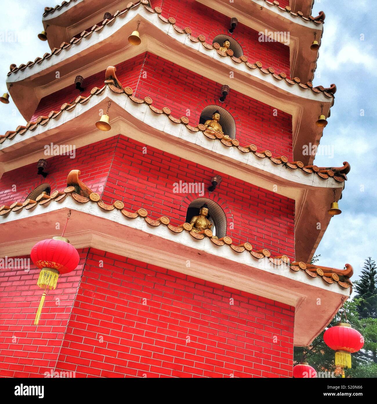 My Image 24