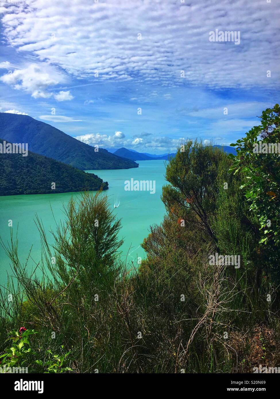 View over Queen Charlotte Bay, just outside of Havelock, South Island, New Zealand. Stock Photo