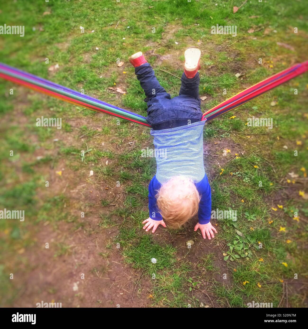 Eighteen month old baby boy playing on a garden hammock, Hampshire, England, United Kingdom. - Smartphone Captured Stock Image
