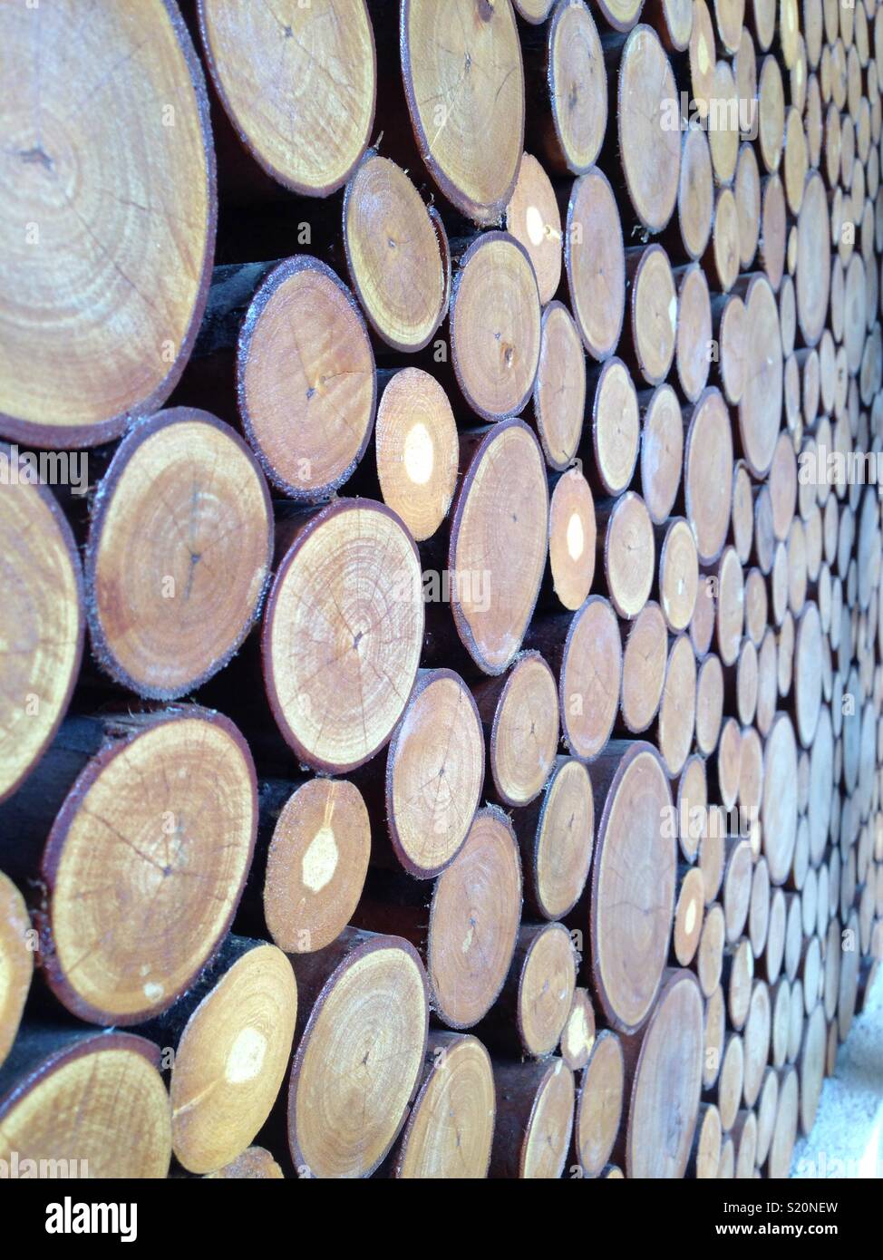 Wooden partition made by cut trees Stock Photo - Alamy