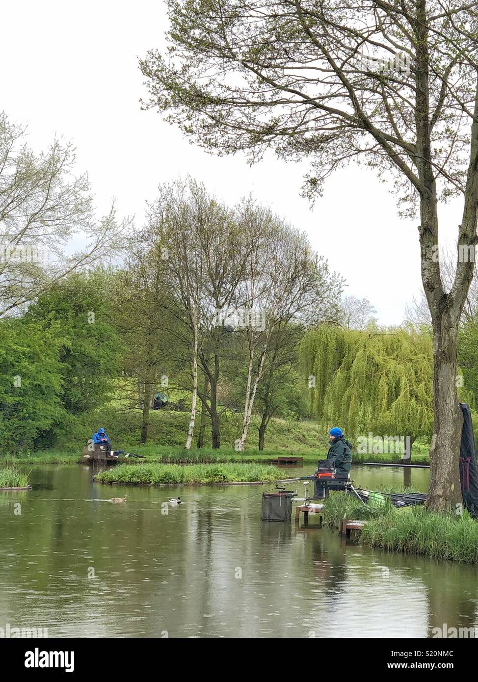 Fishermen by woodland lake in the UK, April 2018 Stock Photo