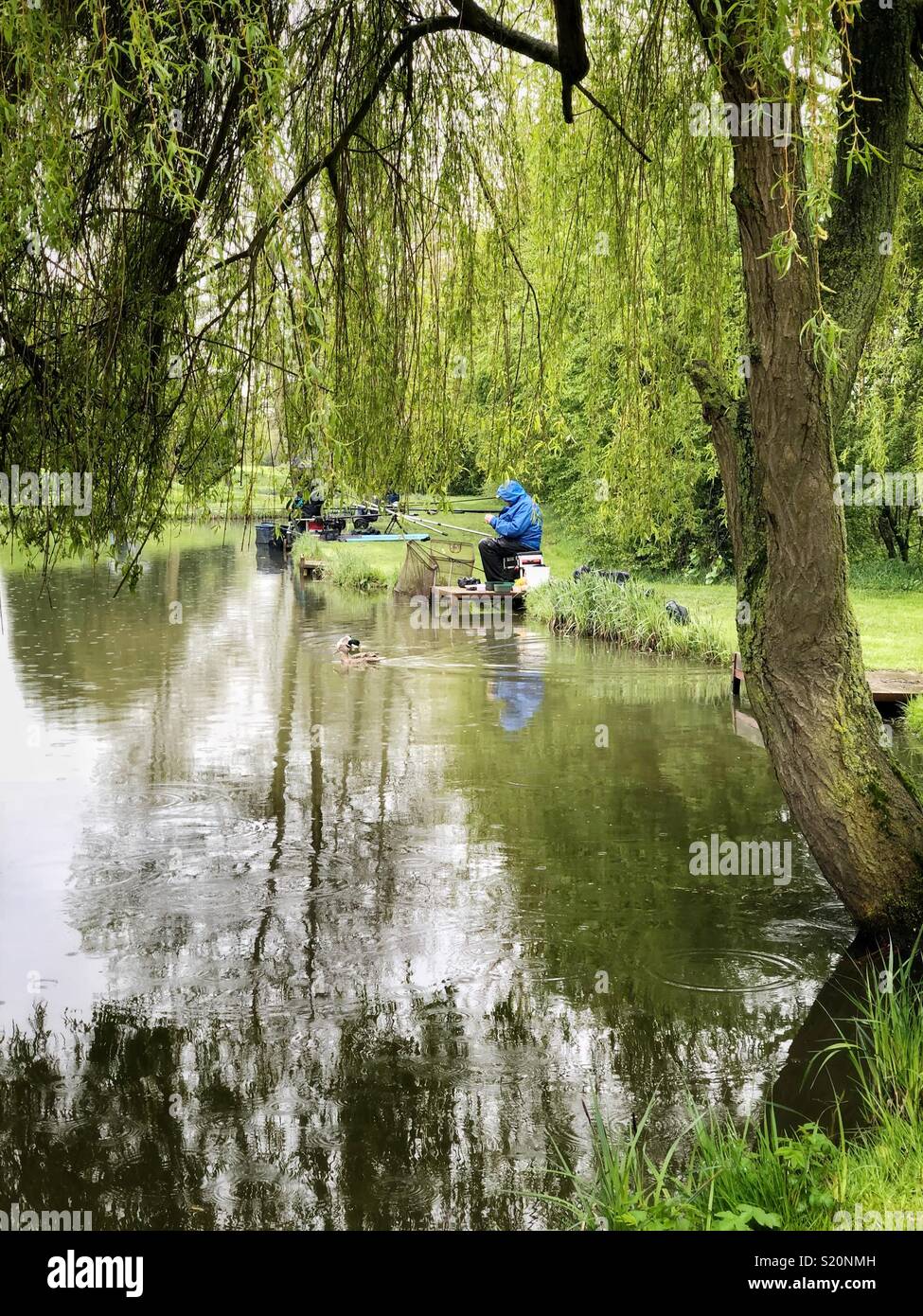 Man fishing by lake in woodlands, UK, Spring 2018 Stock Photo