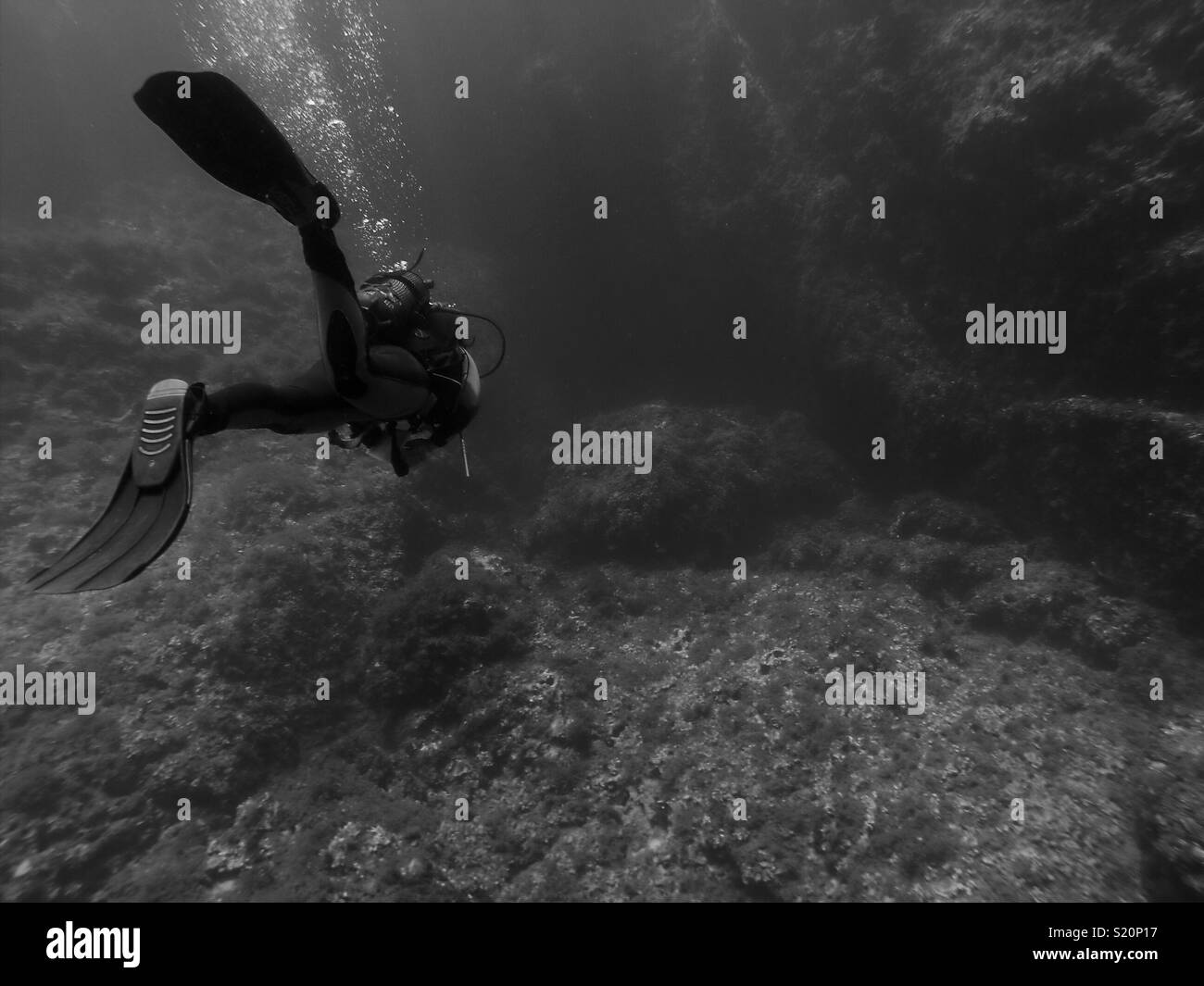 Black and White Scuba Diver Stock Photo - Alamy