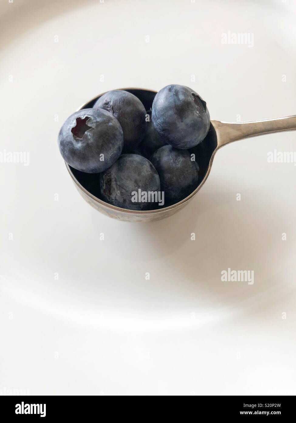 Tablespoon of Blueberries Stock Photo