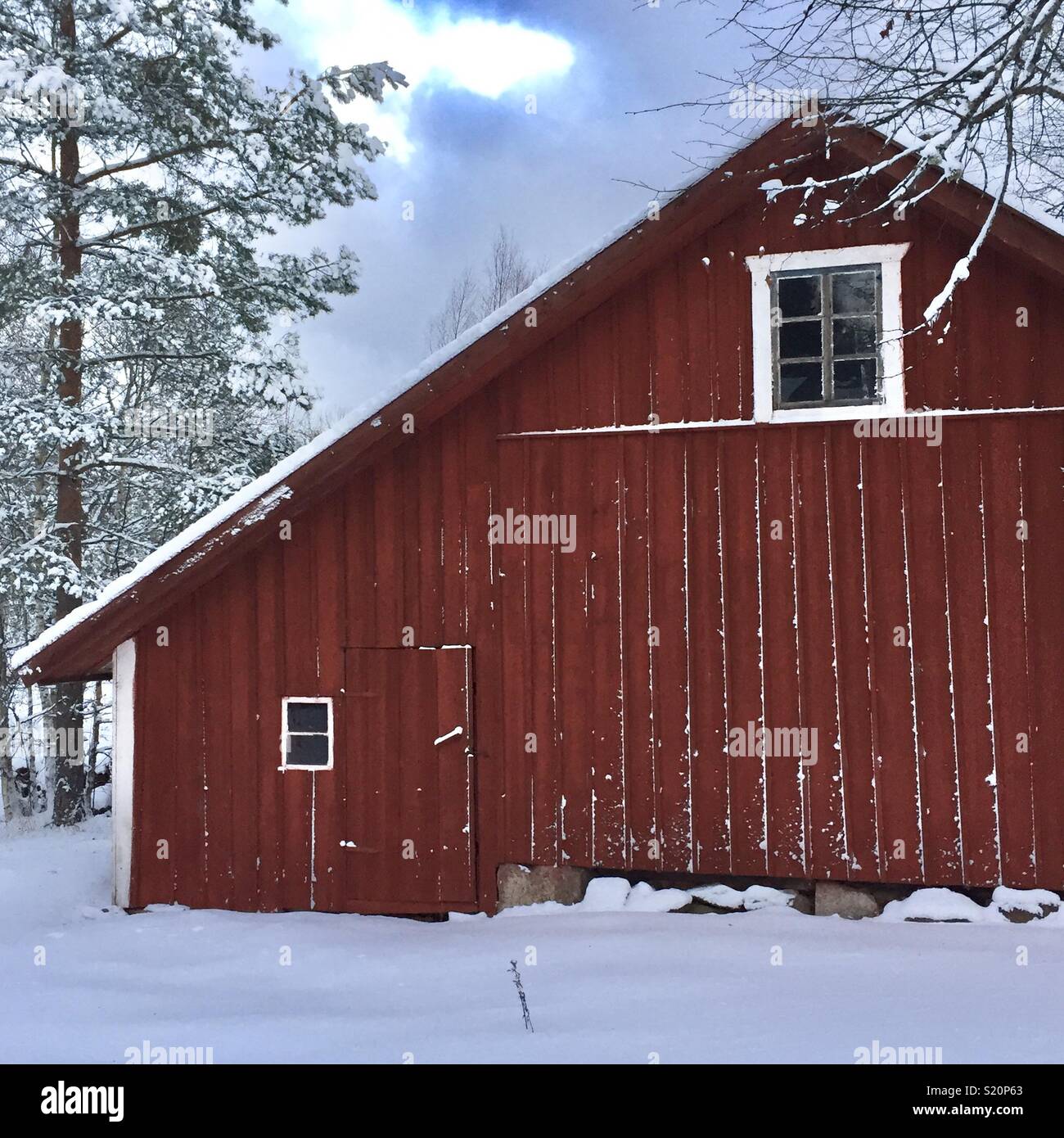 Falu red outhouse in winter landscape. - Smartphone Captured Stock Image