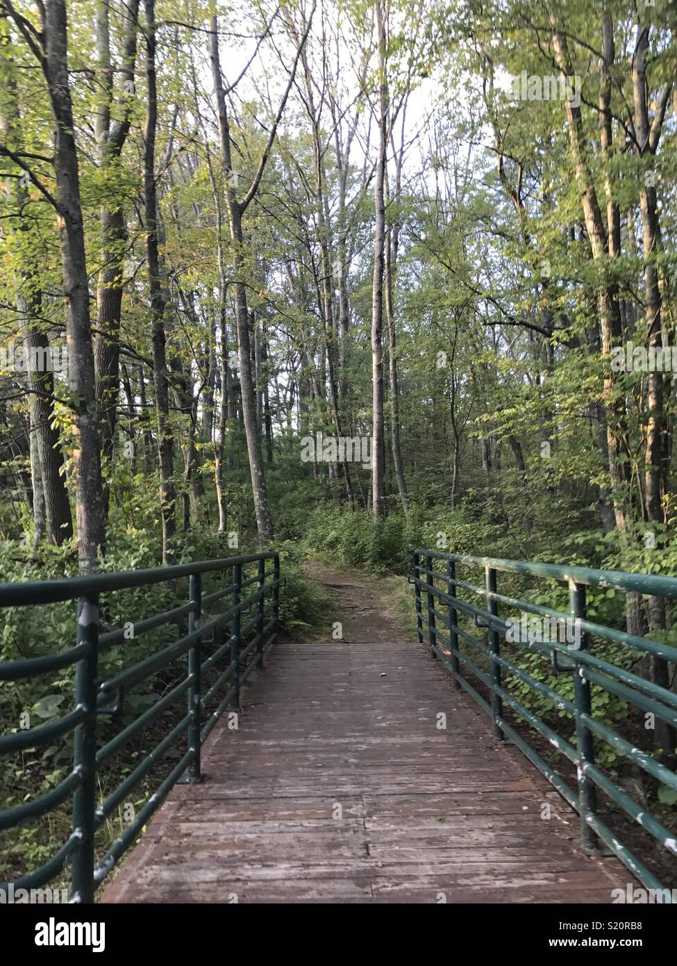 End of a bridge that leads to a path through the woods in Rhode Island Stock Photo