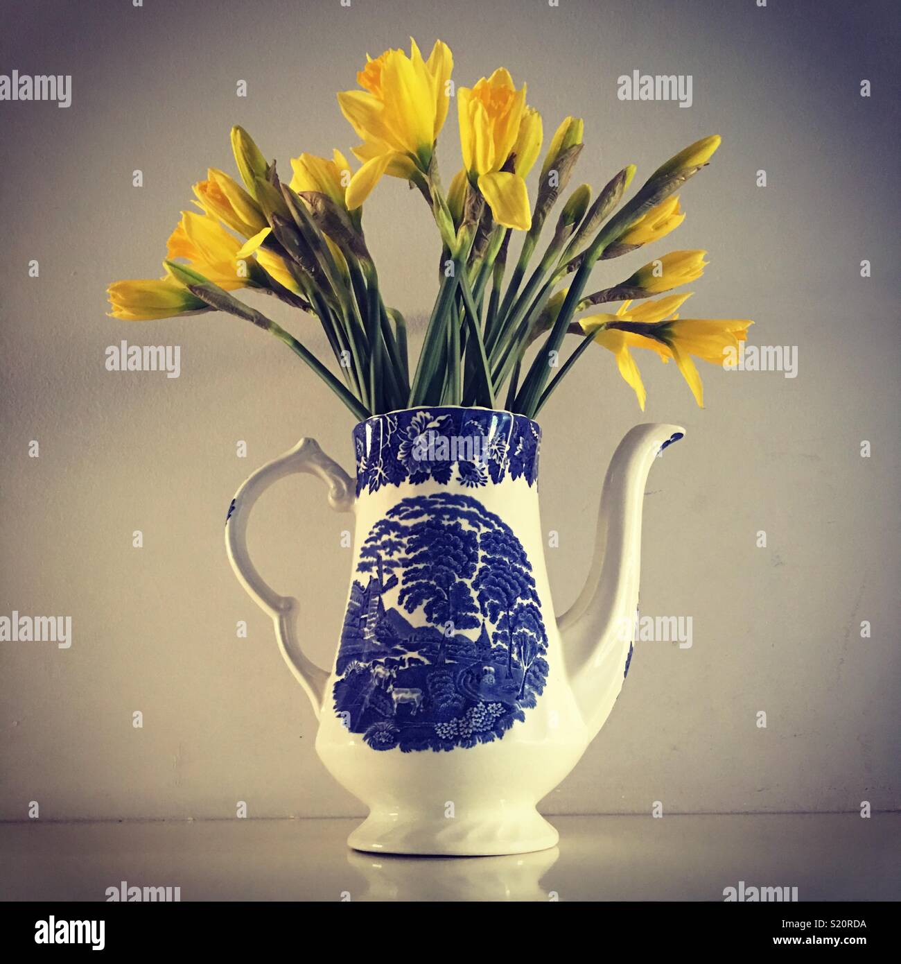 https://c8.alamy.com/comp/S20RDA/daffodils-in-jug-S20RDA.jpg