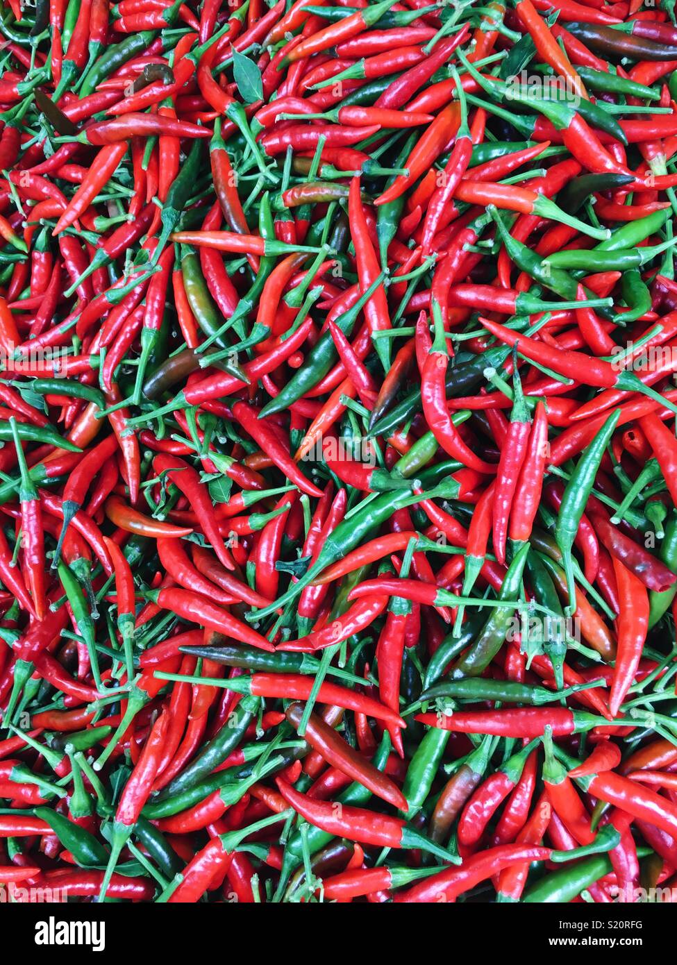 Chillies of thailand hi-res stock photography and images - Alamy